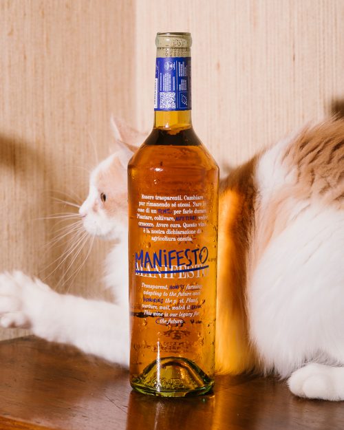 Manifesto </br><em>Orange wine</em>